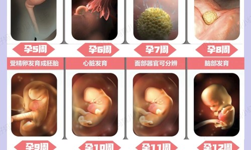 【哈药世一堂全部品种】哈药世一堂厂家简介 - 哈药集团世一堂制药厂小活络丸图片网