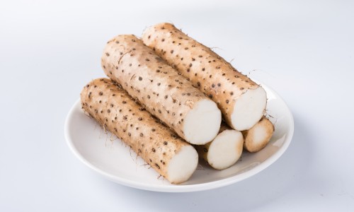 哈药世一堂厂家简介-【哈药世一堂全部品种】哈药世一堂厂家简介 - 哈药集团世一堂制药厂小活络丸图片网