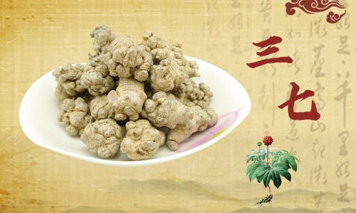 哈药世一堂厂家简介-【哈药世一堂全部品种】哈药世一堂厂家简介 - 哈药集团世一堂制药厂小活络丸图片网